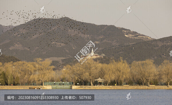 頤和園玉泉山玉峰塔冬景