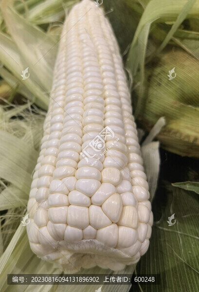 玉米棒子