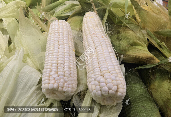 玉米棒子