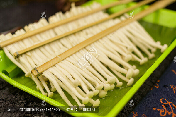 海鮮菇