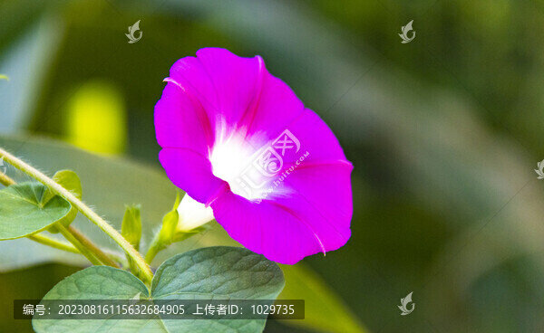 牽?；? title=
