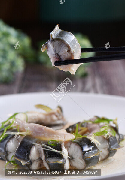 清蒸江鰻