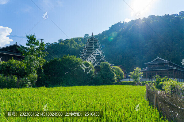 侗族鼓樓和稻田風(fēng)光