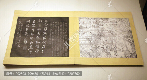 棉花全圖