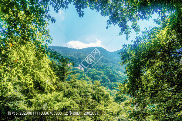大別山自然風(fēng)景