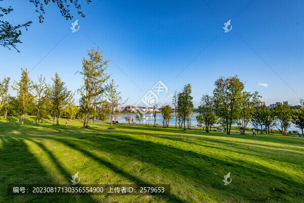 天府新區(qū)興隆湖草坪夕陽