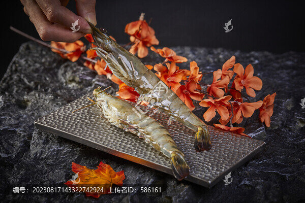 鮮蝦