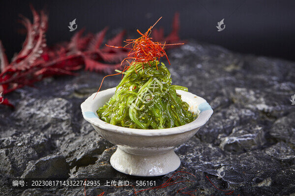 裙帶菜