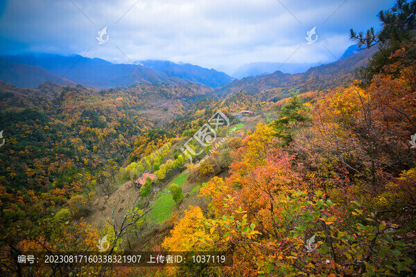 米倉山秋景