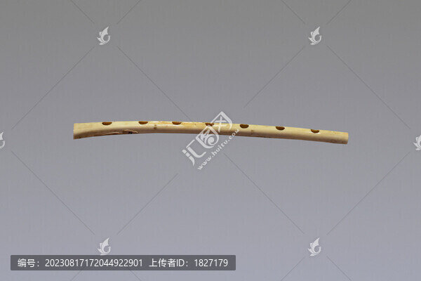 納西族七孔鶴骨波伯