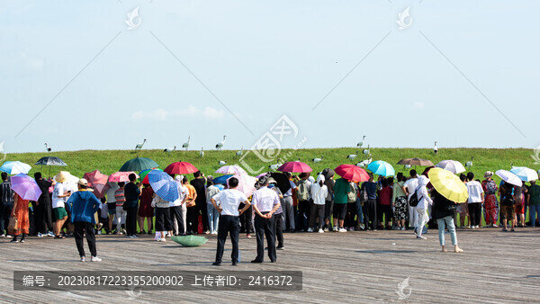 扎龍保護(hù)區(qū)丹頂鶴