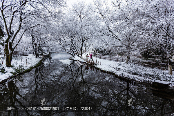 杭州茅家埠雪霽