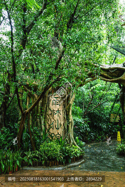 長隆動物世界雨林仙蹤