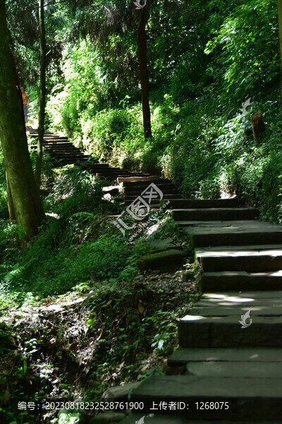 四川青城山問(wèn)道青城山