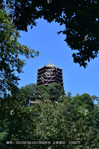 四川青城山問道青城山
