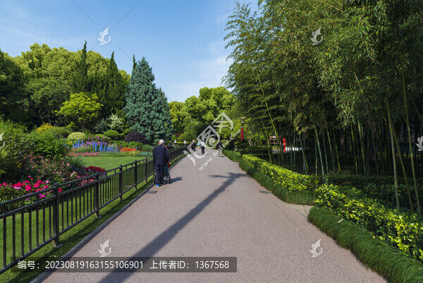 公園散步道