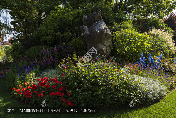 花圃