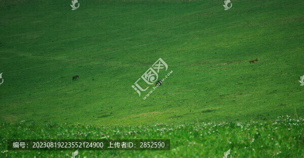 草原遠(yuǎn)眺的馬匹