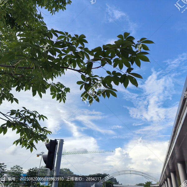 藍天白云