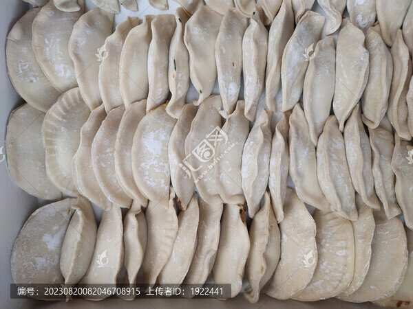 凍餃子特寫