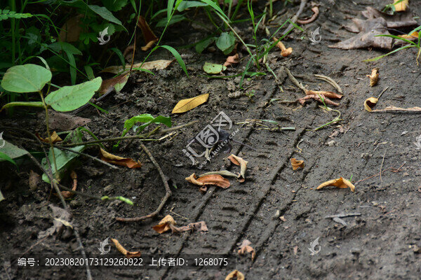 桂林陽朔山水風(fēng)光
