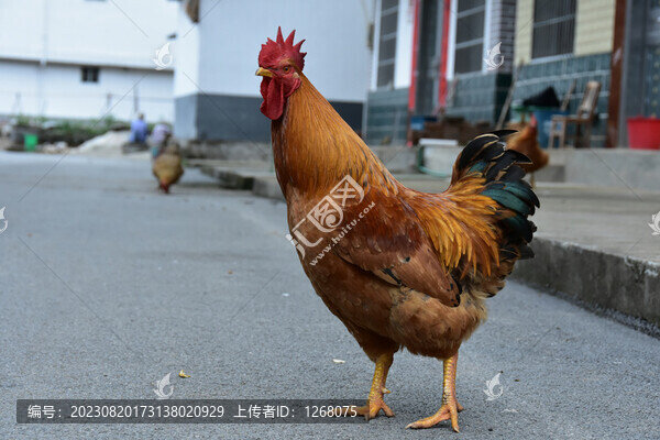 桂林陽(yáng)朔山水風(fēng)光