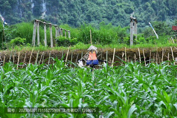 桂林陽朔山水風(fēng)光