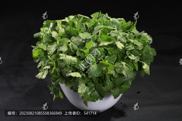 香菜