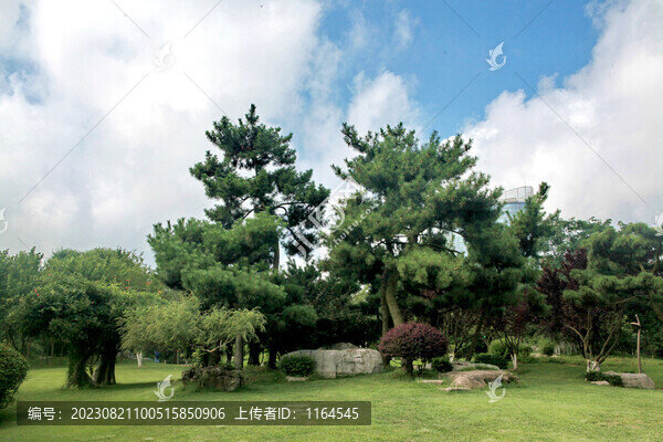 日照人民廣場(chǎng)景觀