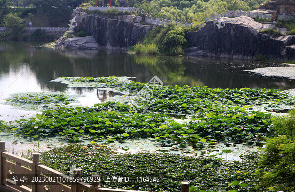 城市園林