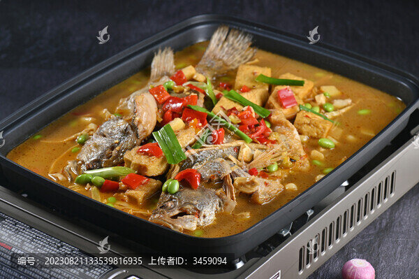 黃山臭桂魚