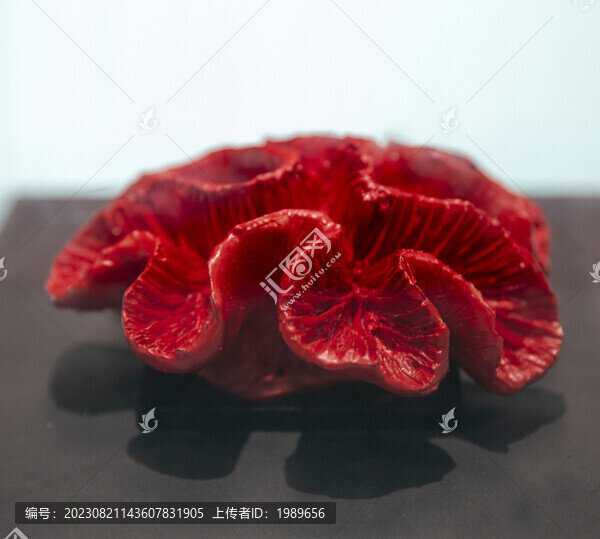 海底世界