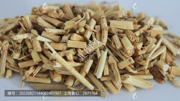 茅根