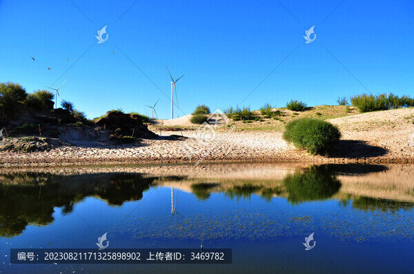 沙漠綠洲