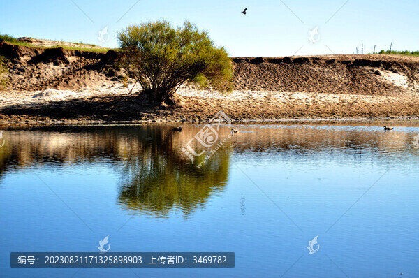 沙漠綠洲