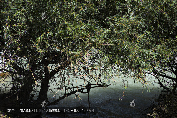 河流