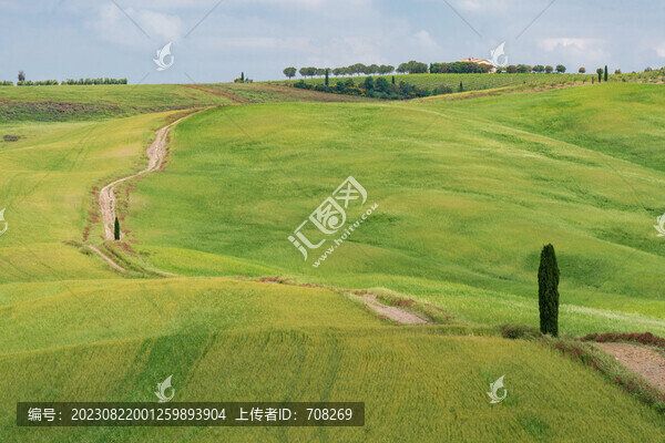 托斯卡納奧爾恰谷田園風光