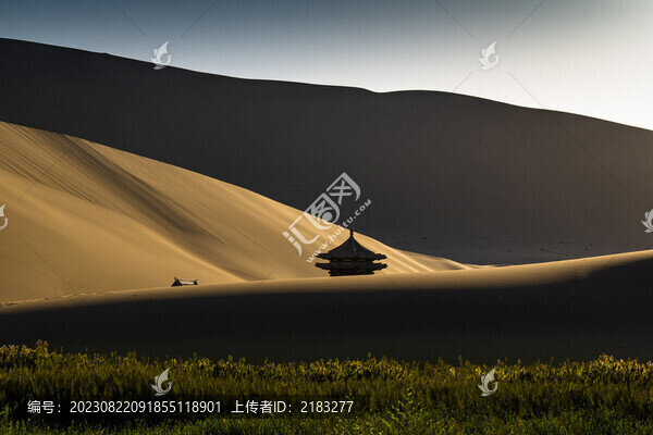 沙漠綠洲