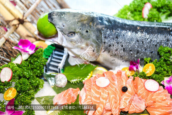 三文魚