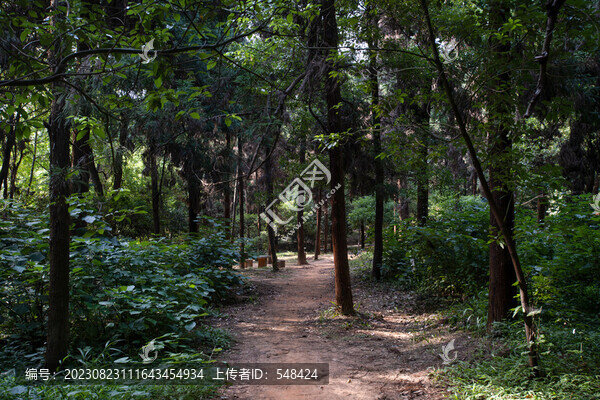 長沙烈士公園的小徑