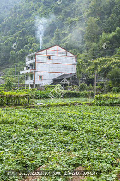 農(nóng)村自然風(fēng)光