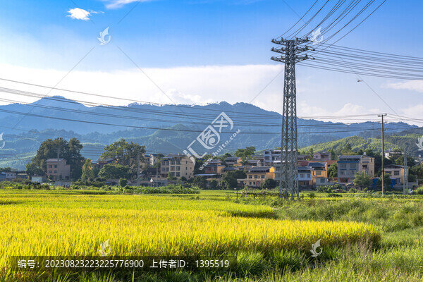 廣西鄉(xiāng)村稻田風(fēng)光