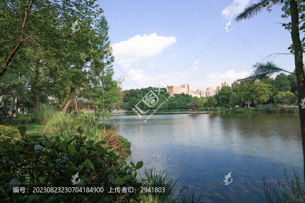 生態(tài)濕地