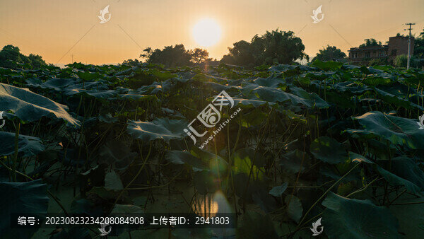 鄉(xiāng)村