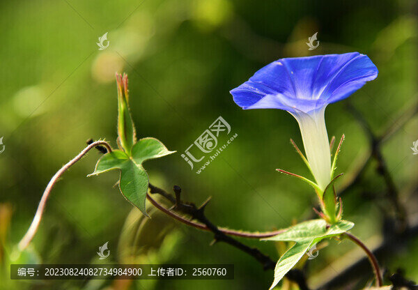 牽?；? title=