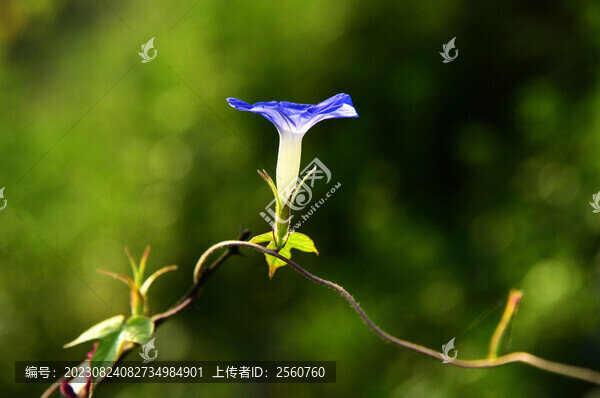 牽?；? title=