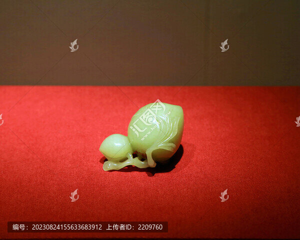 黃玉蝙蝠桃