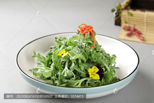 南極冰草