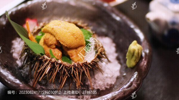 海膽刺身