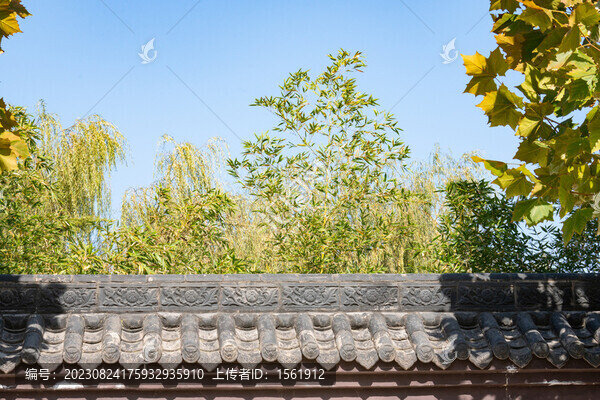 建筑物綠植